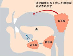 s_消化酵素