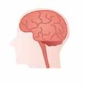 前頭側頭型認知症の症状と予防