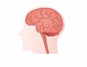 前頭側頭型認知症の症状と予防