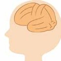 神経原線維変化とアルツハイマー型認知症の関係