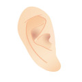 補聴器を付けている方への介護する際の注意点