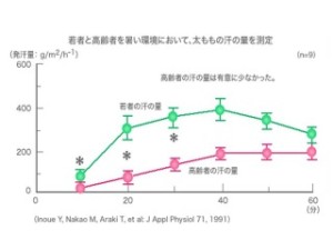 若者と高齢者を暑い環境において、太ももの汗の量を測定