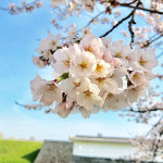 見学時のサプライズ!