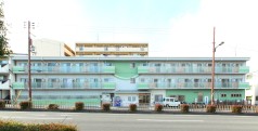 さくらんぼ清水丘