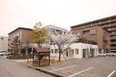小春日和