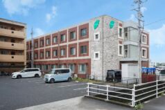 ゴールドエイジ オリーブ