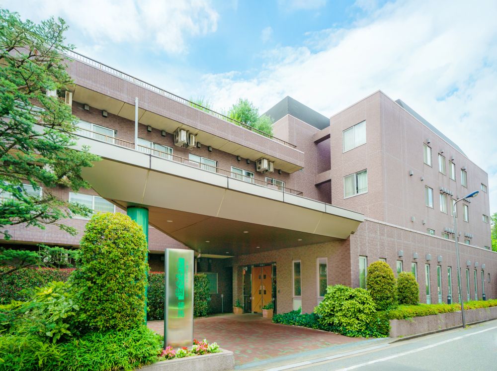 もみの樹・練馬